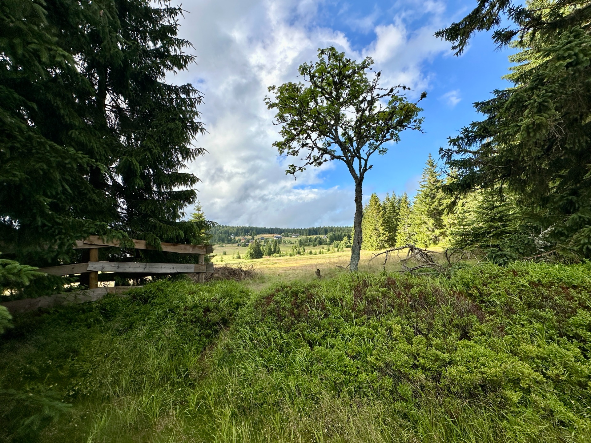 Filipova Huť nad naším domem 